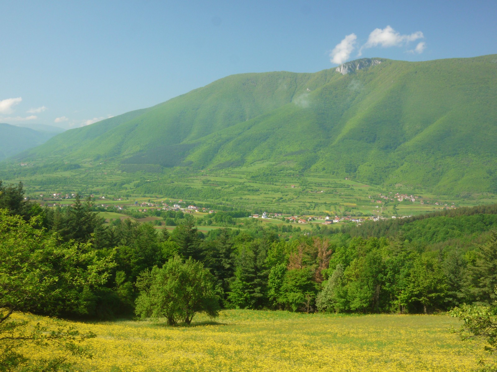 зеленая гора в Болгарии